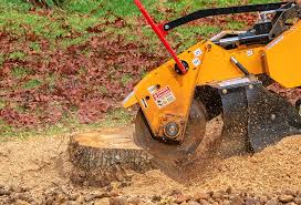Best Firewood Processing and Delivery  in Ashley, PA